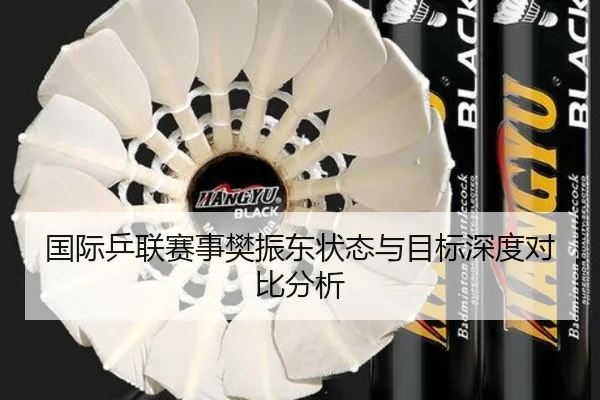 国际乒联赛事樊振东状态与目标深度对比分析